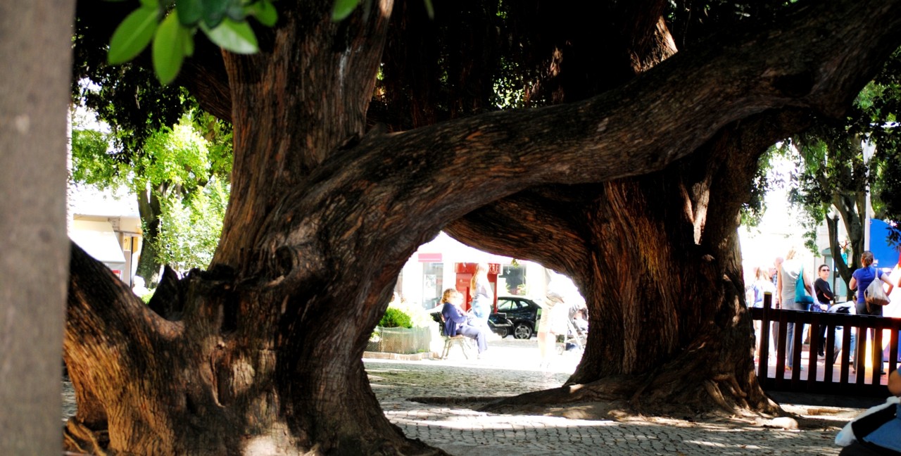 Jardim da Parada.JPG