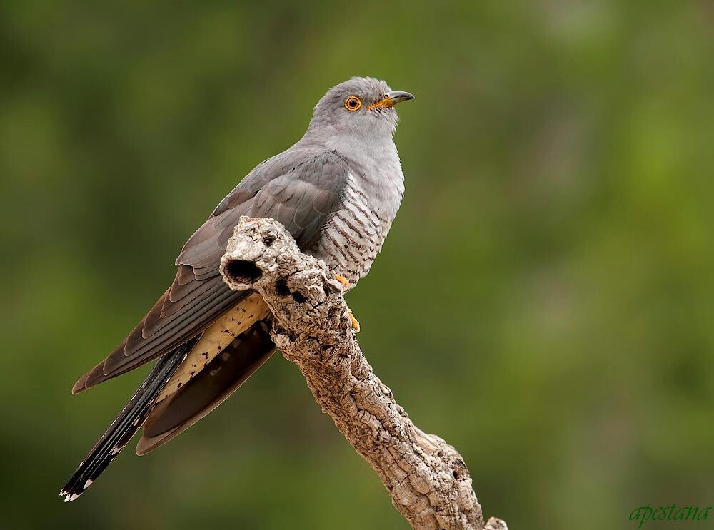 15972456_1228309767256920_4789682092918109660_o.jp