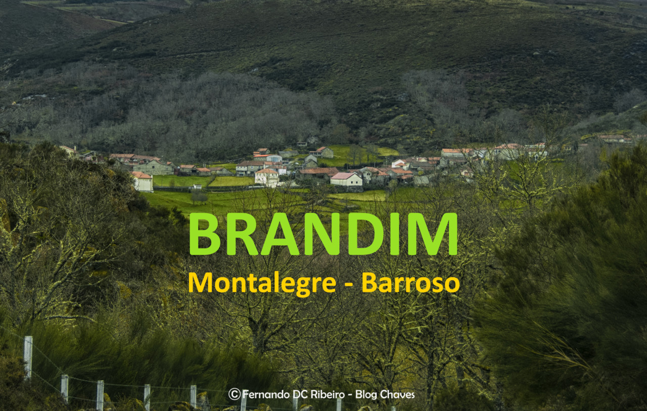 2000-brandim (1).jpg