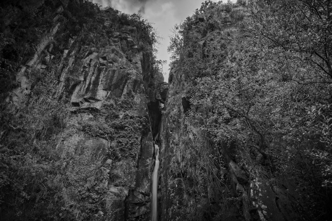 _JMF1871 - cópia copy.jpg