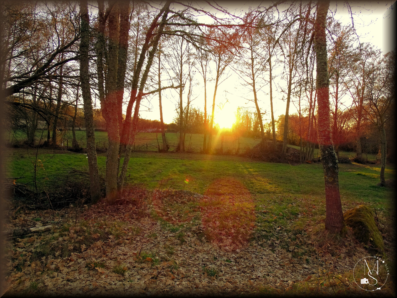 03Jan DSC00529_ms.JPG