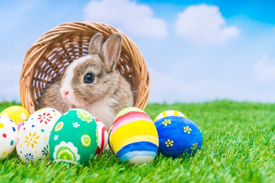 22163346077410.jpg 22163346077410.jpg