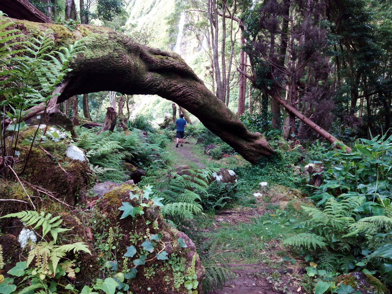 Percurso até ao Poço da Ribeira do Ferreiro - Il