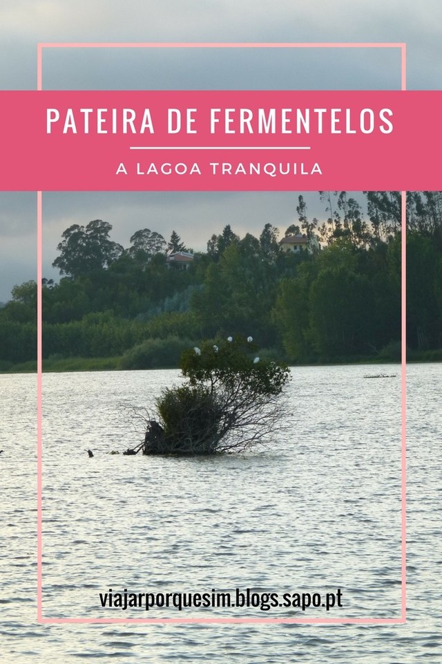 Pateira de Fermentelos.jpg