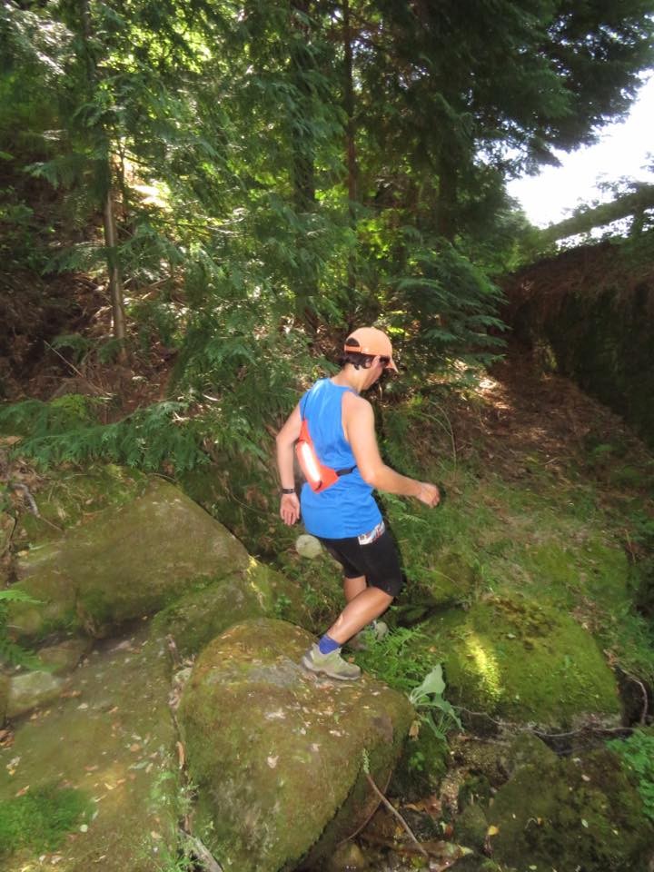 13495041_1234053043279103_5904922420500909036_n.jp