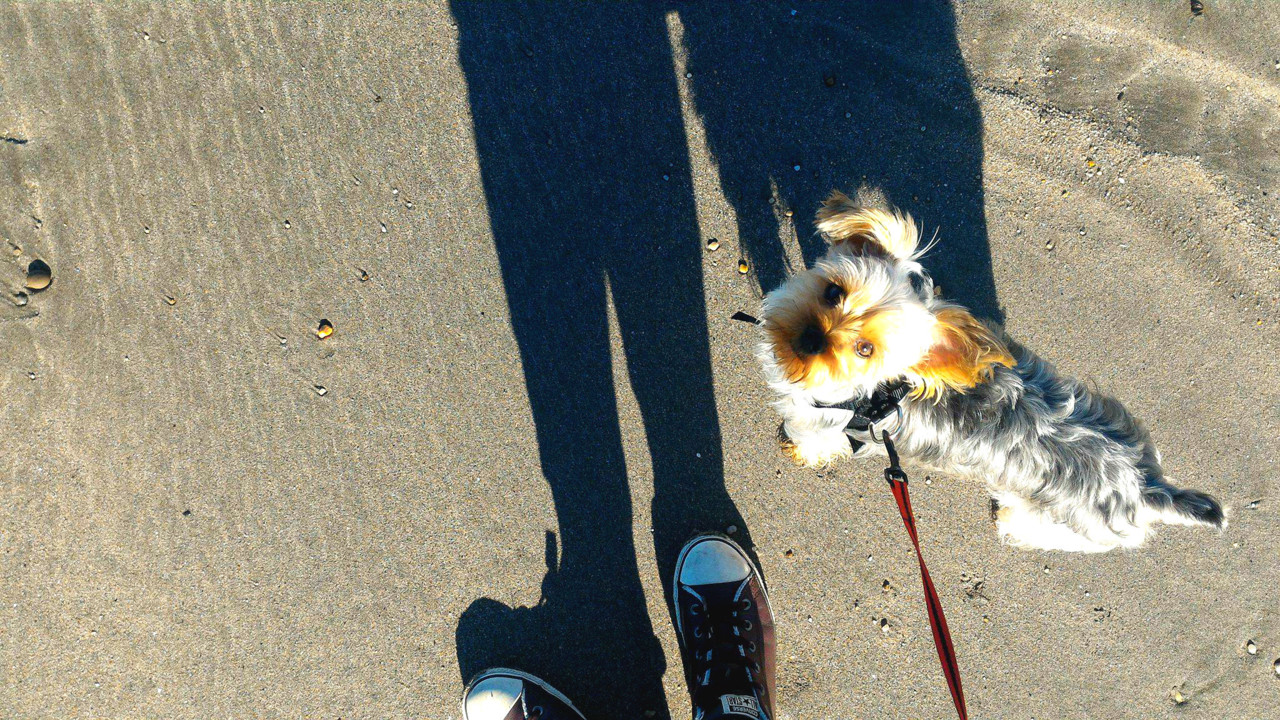 31960881_2161690417192706_7354005654622699520_n.jp