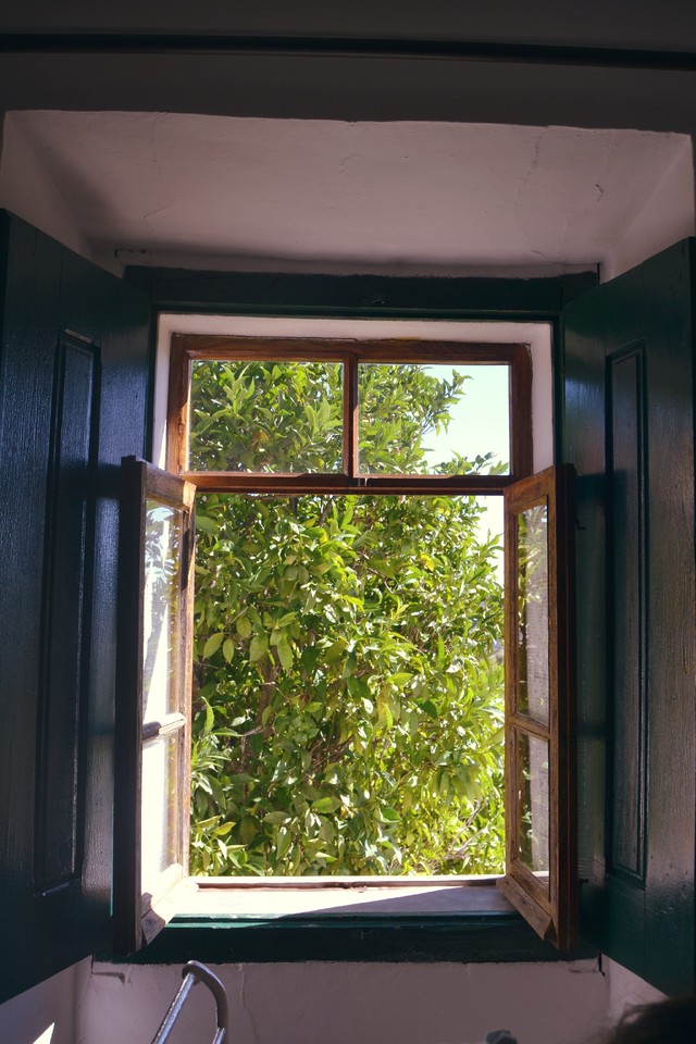 DSC_0270_Fotor.jpg DSC_0270_Fotor.jpg