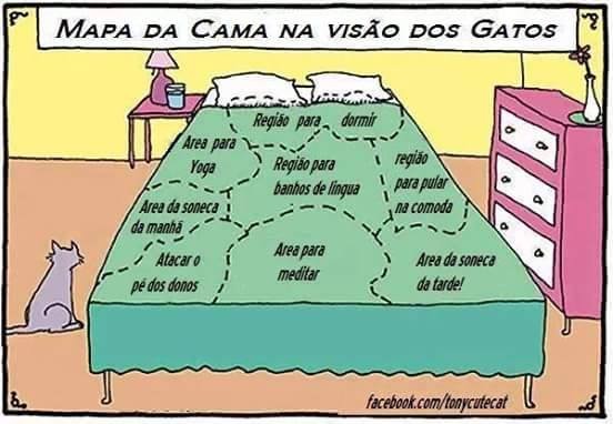 12047102_1665728940352398_1024324978414851949_n.jp