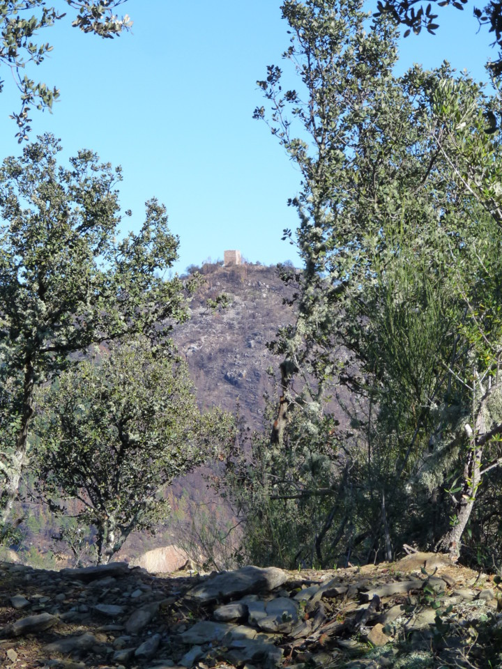 Conhal (4).jpeg Conhal (4).jpeg