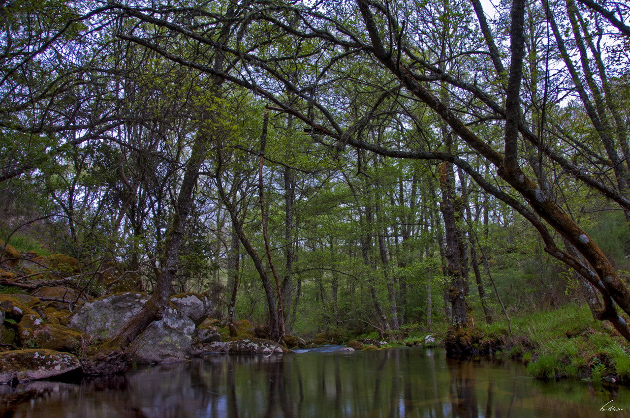 1600-olas (150).jpg 1600-olas (150).jpg