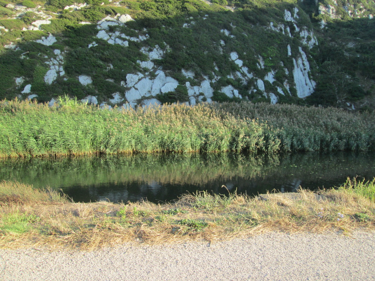 IMG_6697.JPG IMG_6697.JPG