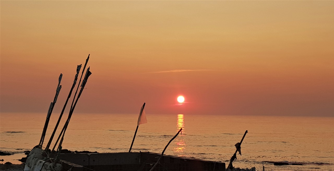 20180821_201517.jpg 20180821_201517.jpg