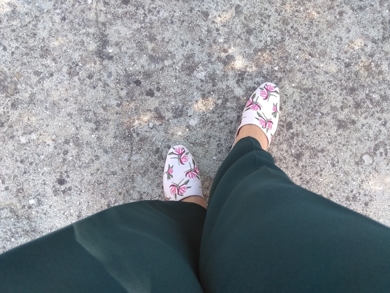 IMG_20171024_131433.jpg IMG_20171024_131433.jpg