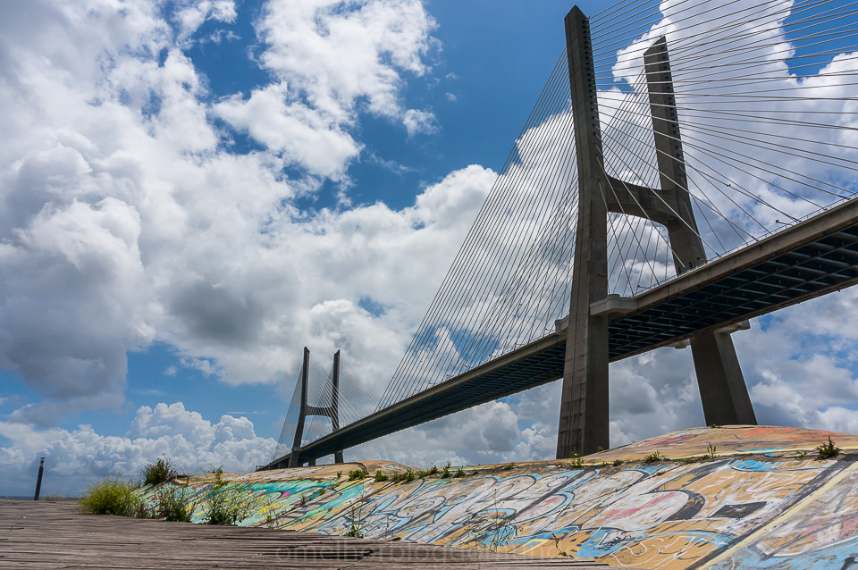 DSC02458.jpg DSC02458.jpg