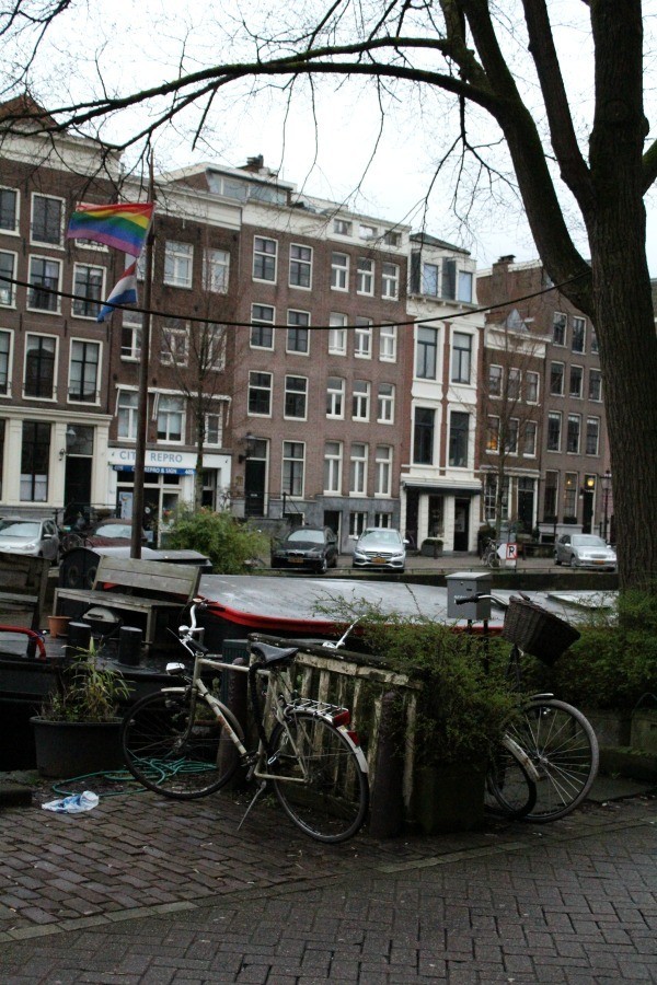 IMG_1526.JPG IMG_1526.JPG