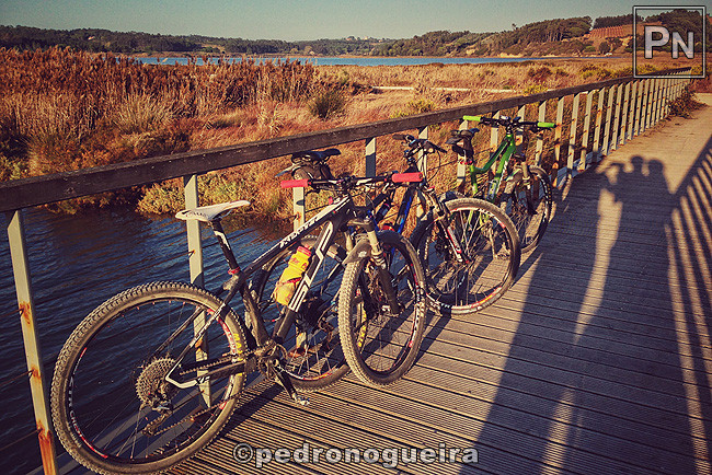 Out_2017_020a 650px.jpg