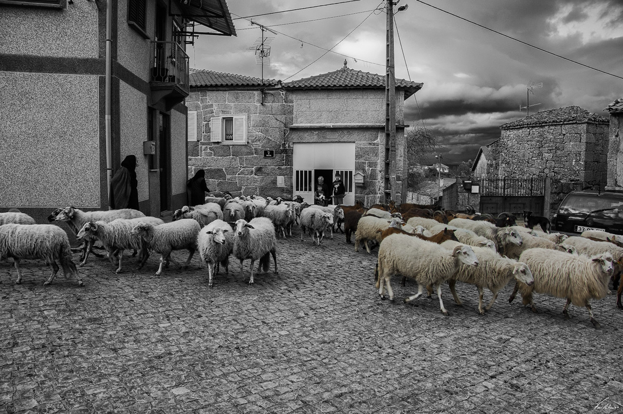 1600-sto andre (72).jpg