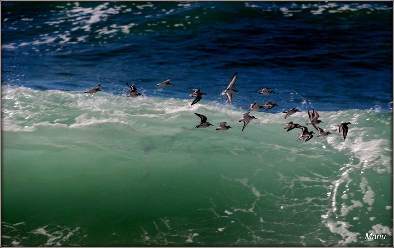 1-IMG_0456.JPG 1-IMG_0456.JPG