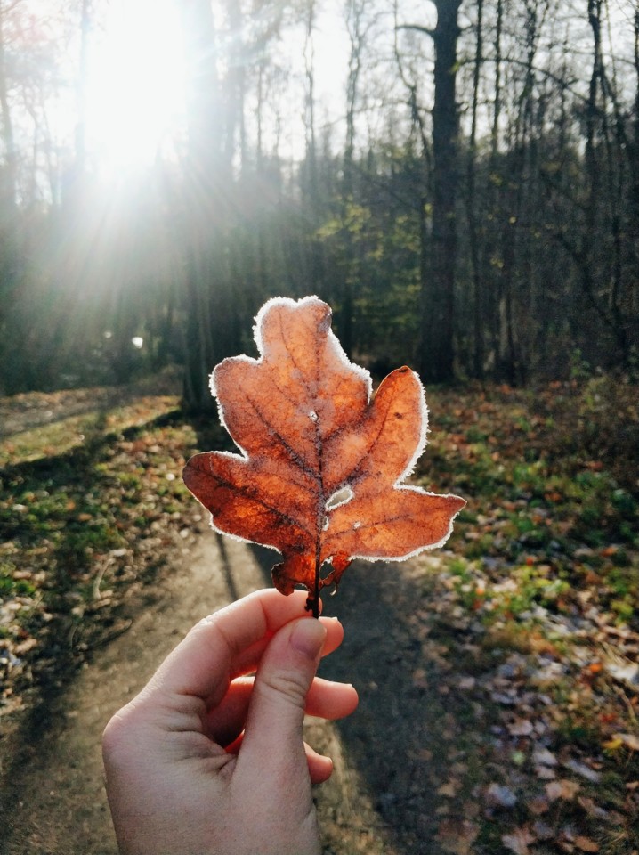 Geada em Estocolmo.jpg