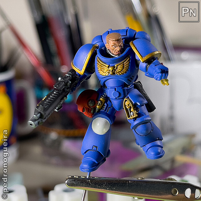 Set_2025_005 650px.jpg