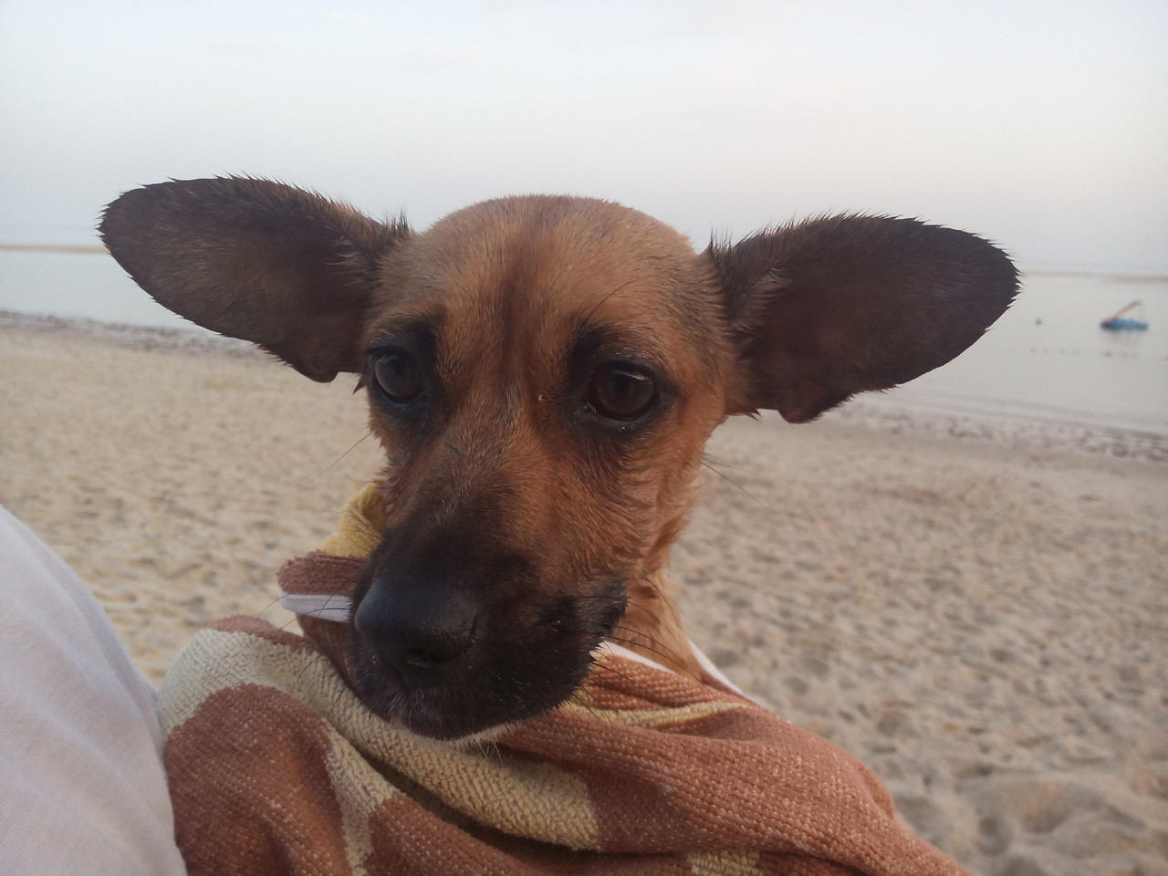 balanço das férias.jpg balanço das férias.jpg