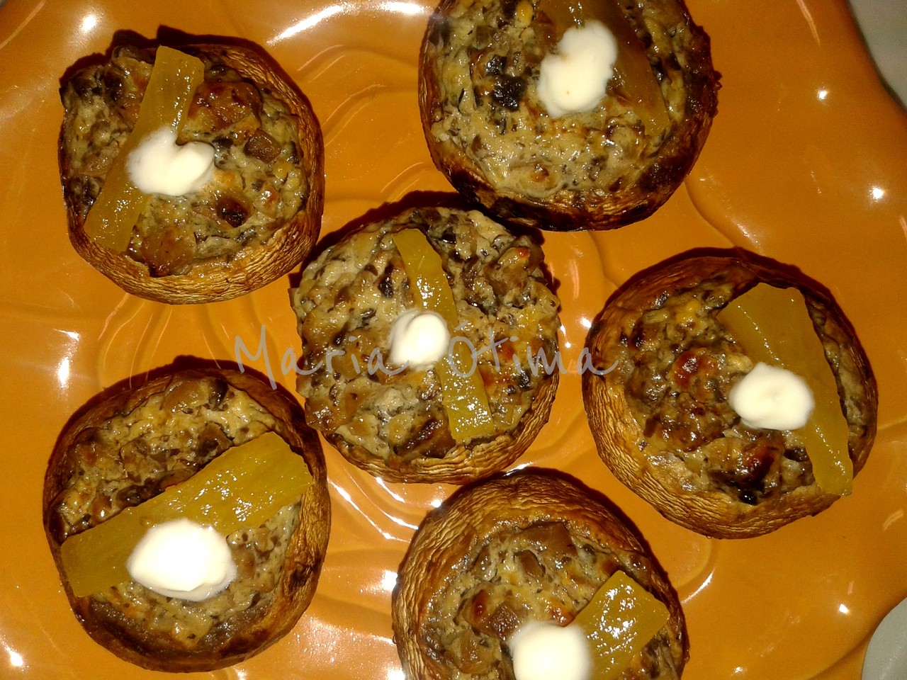 Cogumelos da Bia3.jpg