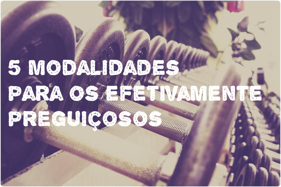 5 Modalidades para os Efetivamente Preguiçosos - Maria das Palavras (imagem Pixabay)