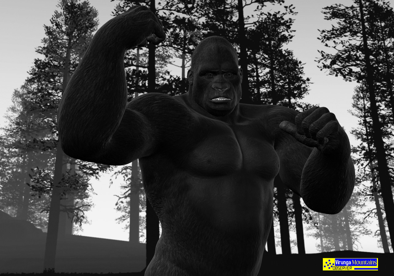 Joram Jojo Joram Jojo