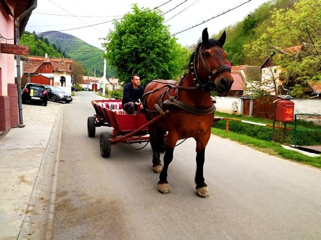 sibiel12.jpg sibiel12.jpg