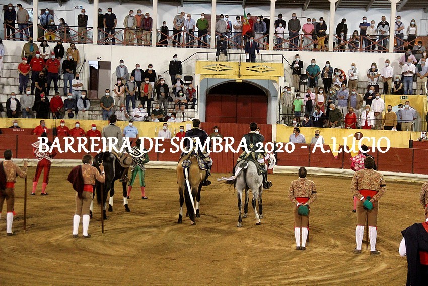 IMG_3432.JPG IMG_3432.JPG