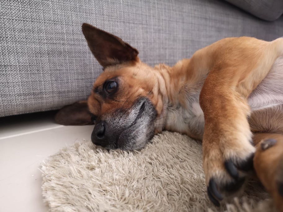 esperando.jpg esperando.jpg