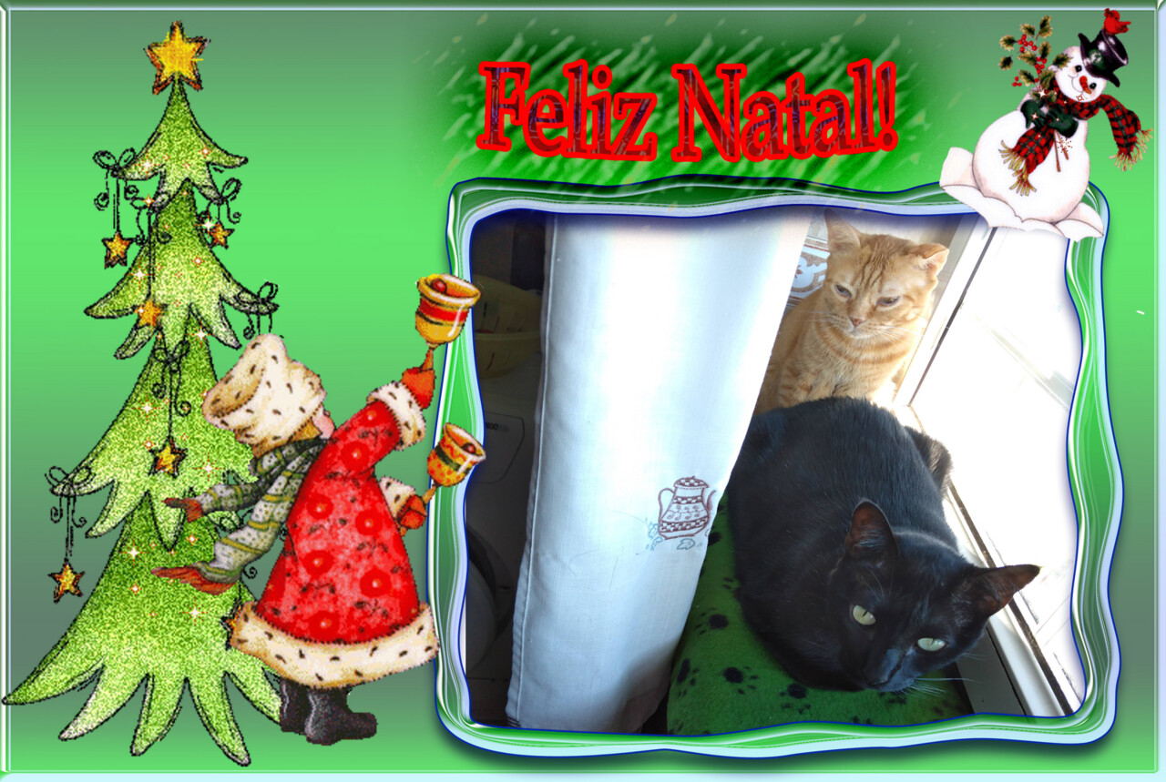 feliznatalio.jpg