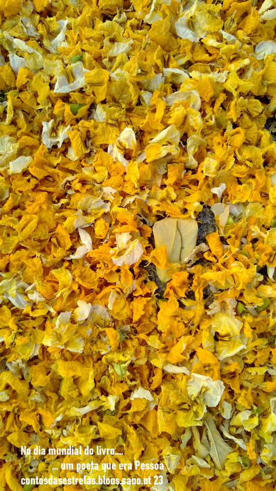 flores amarelas pt.png