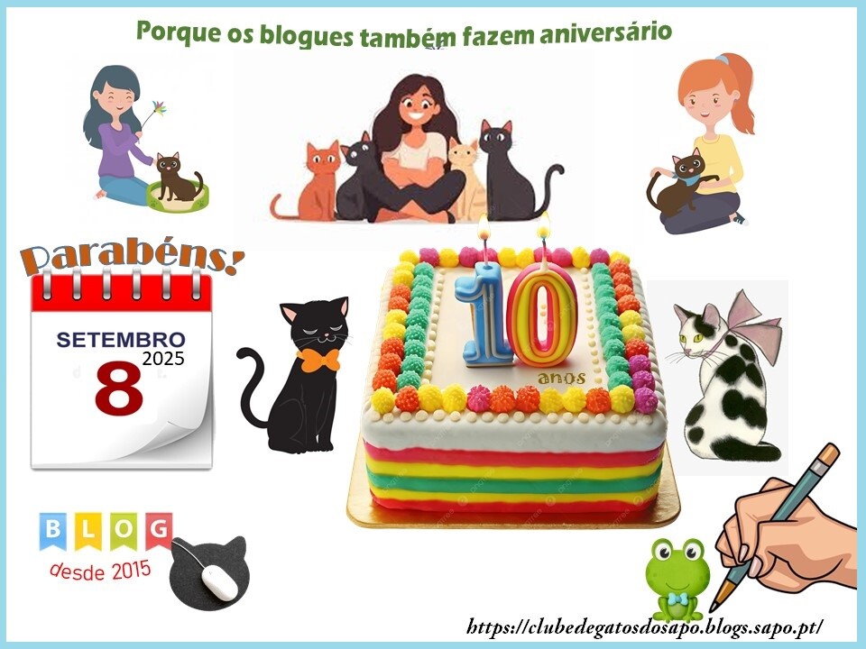 clubegatitos10anos.jpg