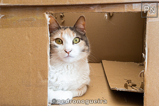 Mar_2023_010 650px.jpg