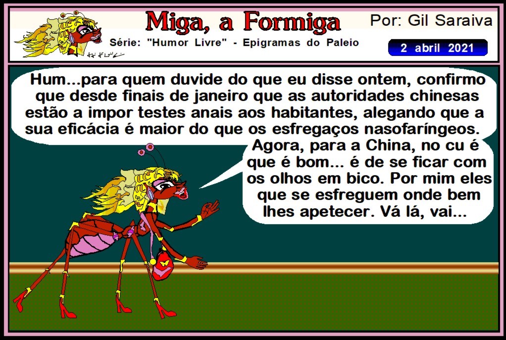 MIGA951.JPG