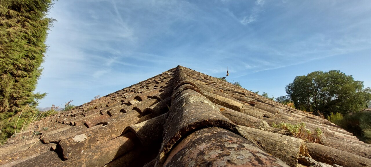 Estou coma telha.jpg