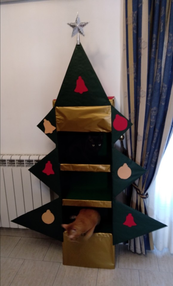 SquarePic_20191202_14494022.jpg SquarePic_20191202_14494022.jpg