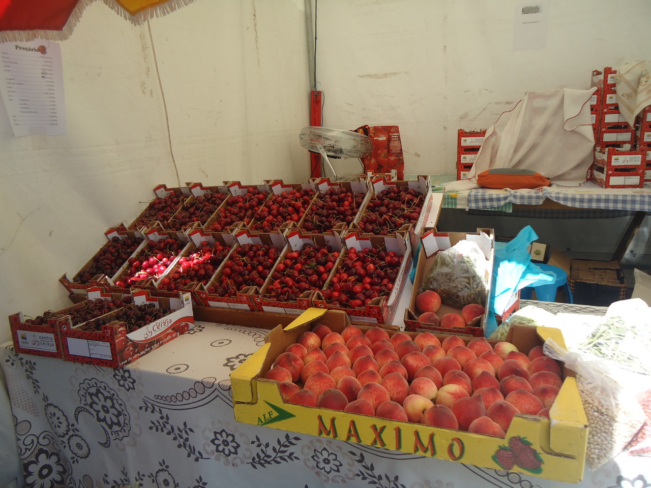 DSC08196.JPG DSC08196.JPG