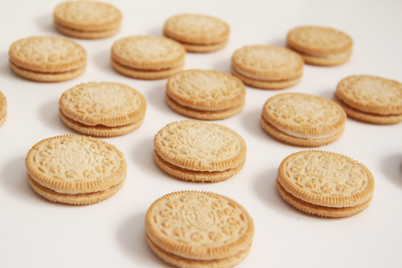 _MG_0239.JPG _MG_0239.JPG