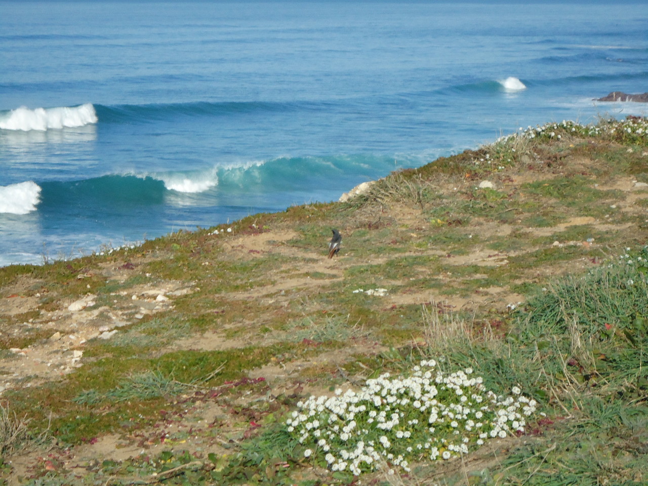 DSC04529.JPG DSC04529.JPG