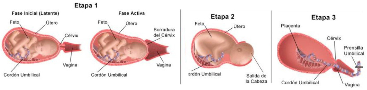 image.jpeg image.jpeg