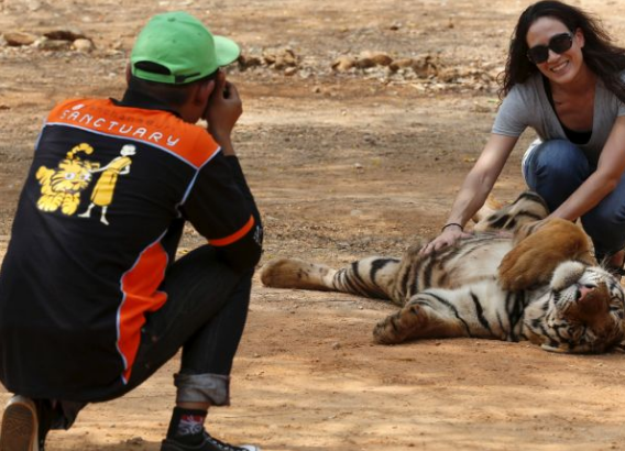 Screenshot 2016-06-01 at 10.40.59.png