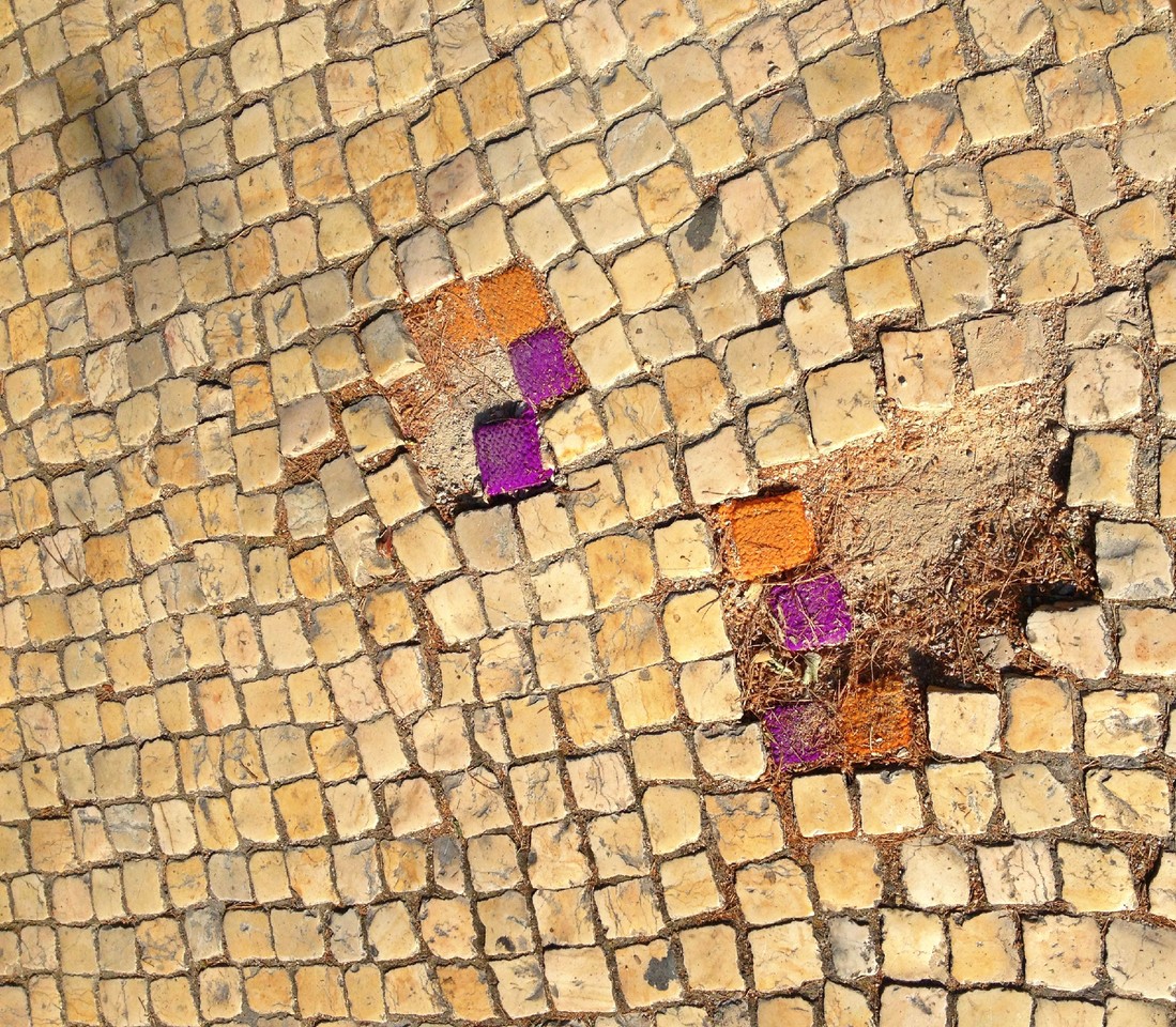 calçada portuguesa.jpg