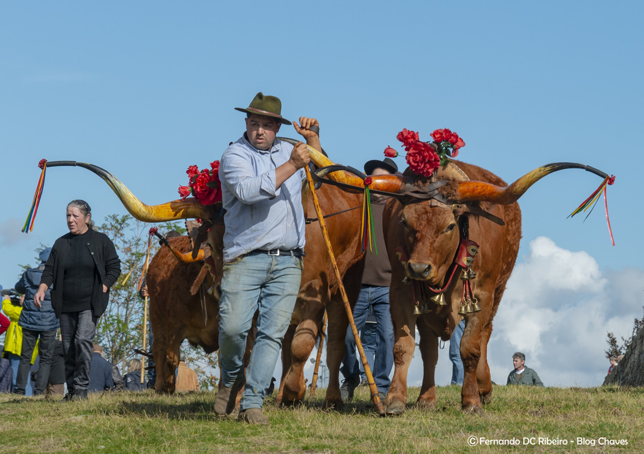 aniversario-15 (20).jpg