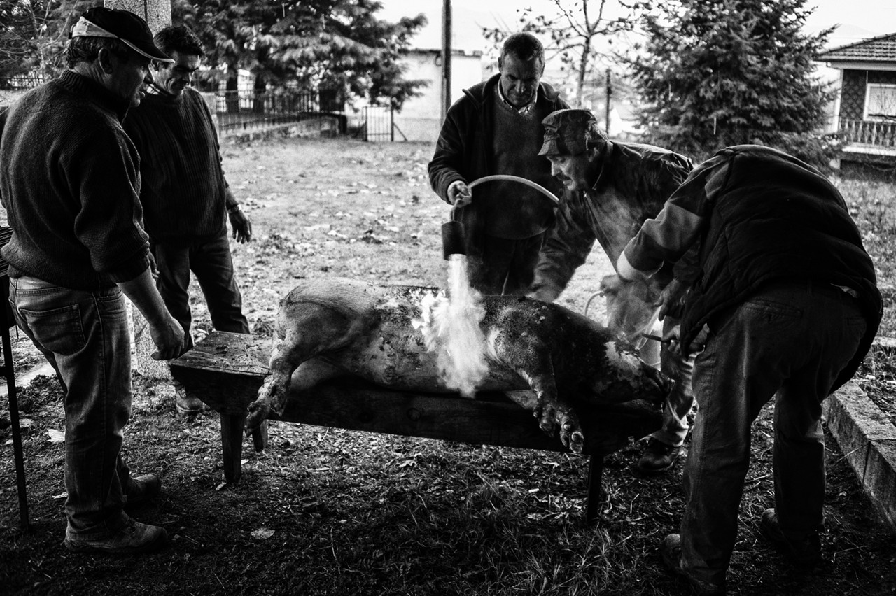 JMD_4628 copy - cópia copy - cópia.jpg JMD_4628 copy - cópia copy - cópia.jpg