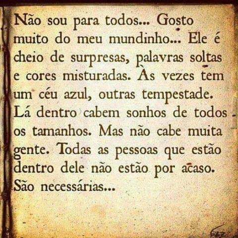 1 meu mundinho.jpg