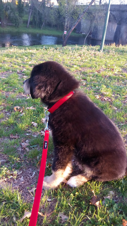 Nao_me_canso_disto_especial6 - Copy.jpg