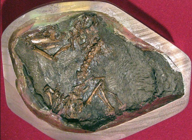 161646988_10218795976959921_1219103967970563013_n.