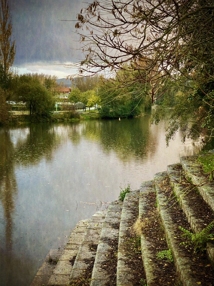 IMG_2960 - cópia.jpg